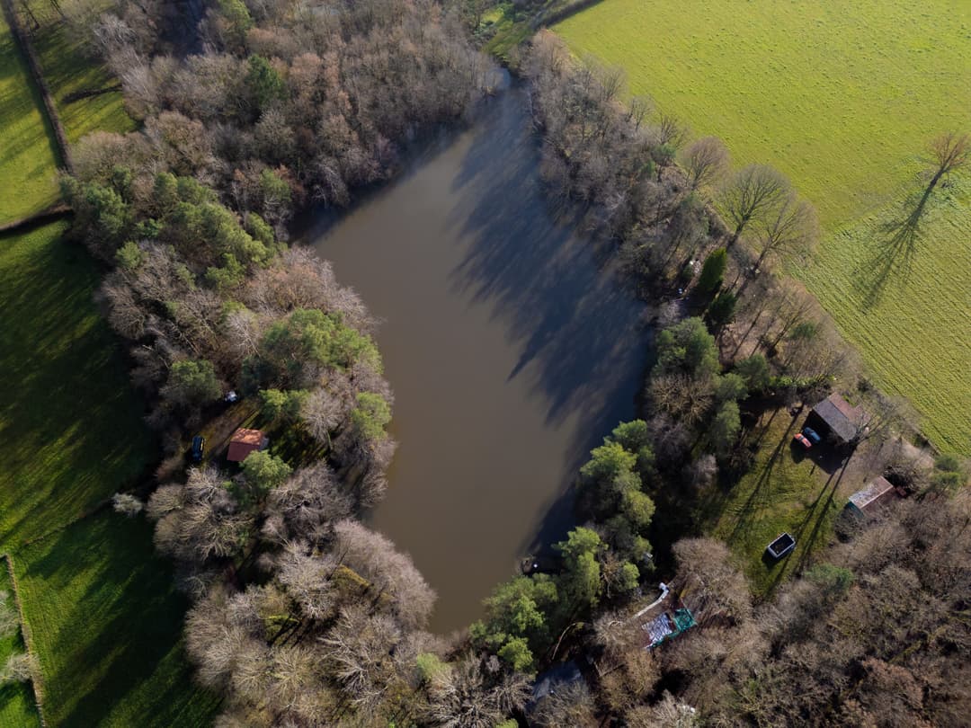 Joli chalet-terrasse avec son étang sauvage en Saône et Loire 