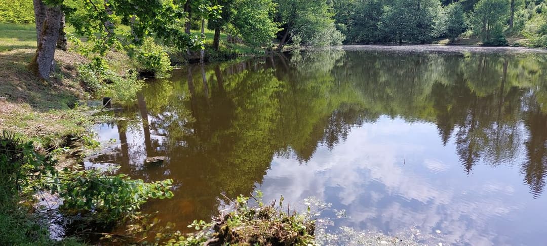 Etang pour camper dans la Nièvre 