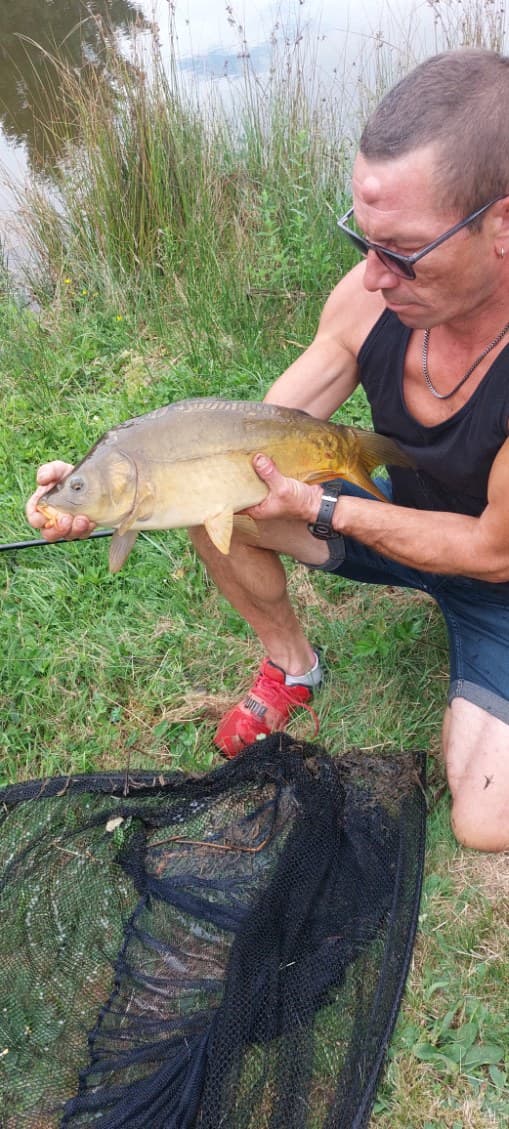 Etang pour camper dans la Nièvre 