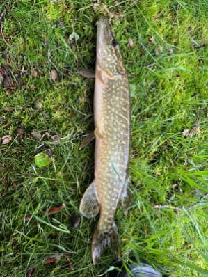 Etang pour camper dans la Nièvre 