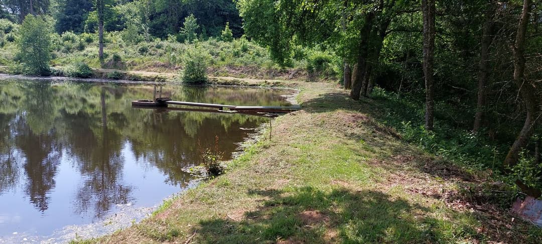 Etang pour camper dans la Nièvre 