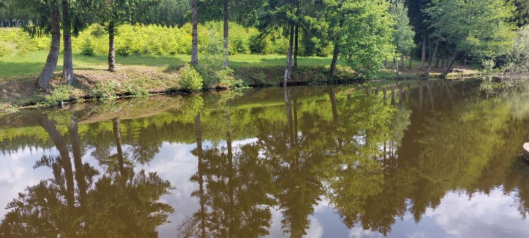 Etang pour camper dans la Nièvre 