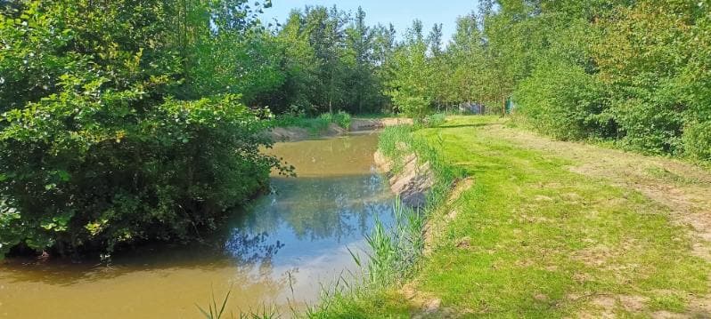 Petit étang privatif au cœur de la nature avec son bungalow tout équipé 