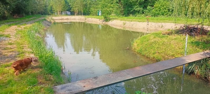 Petit étang privatif au cœur de la nature avec son bungalow tout équipé 