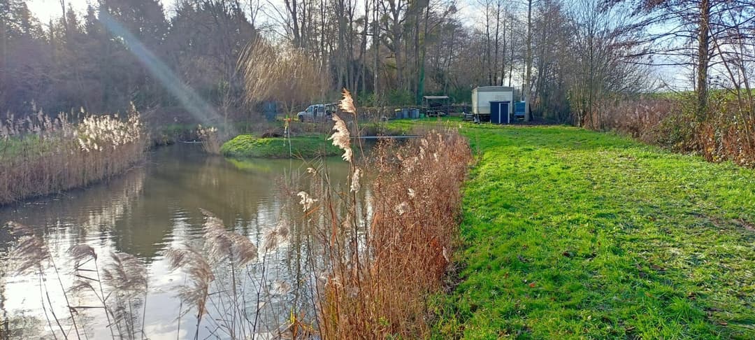 Petit étang privatif au cœur de la nature avec son bungalow tout équipé 