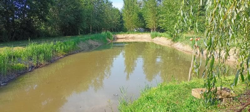 Petit étang privatif au cœur de la nature avec son bungalow tout équipé 