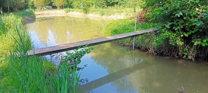 Petit étang privatif au cœur de la nature avec son bungalow tout équipé 