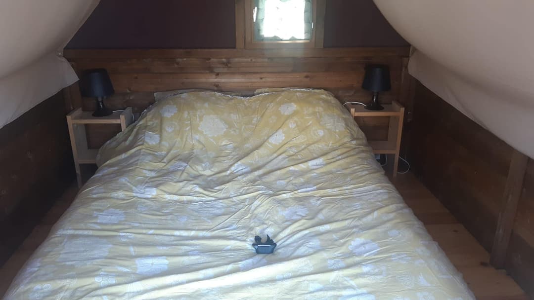 Cabane insolite au bord d’un étang 