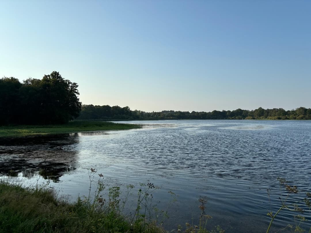 Pêche aux carnassiers dans un étang de 26ha au bord d’un chateau 