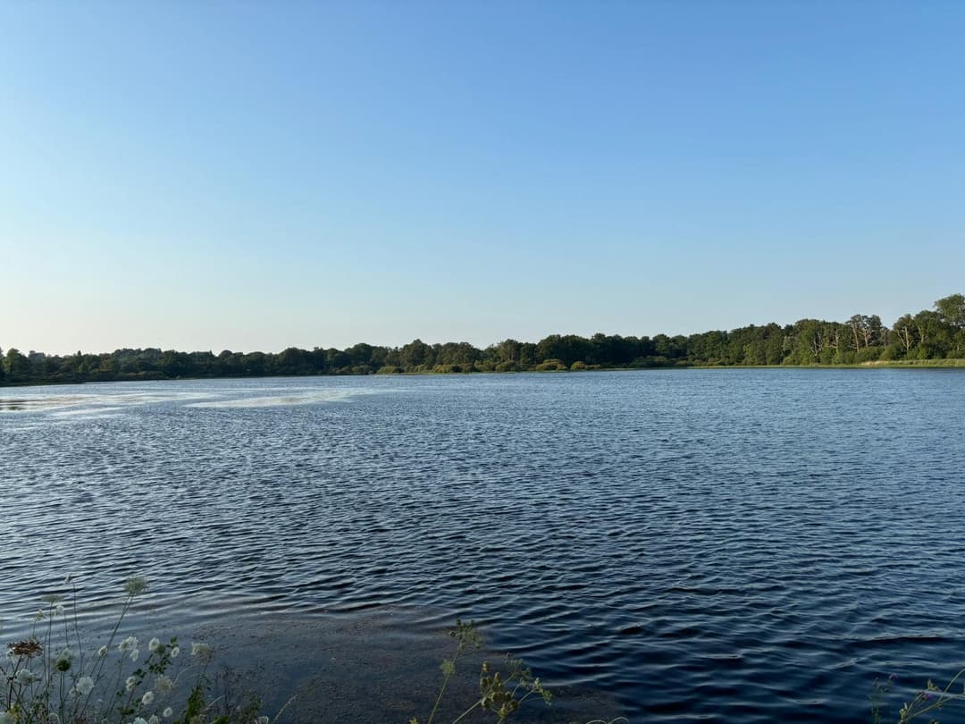 Pêche aux carnassiers dans un étang de 26ha au bord d’un chateau 