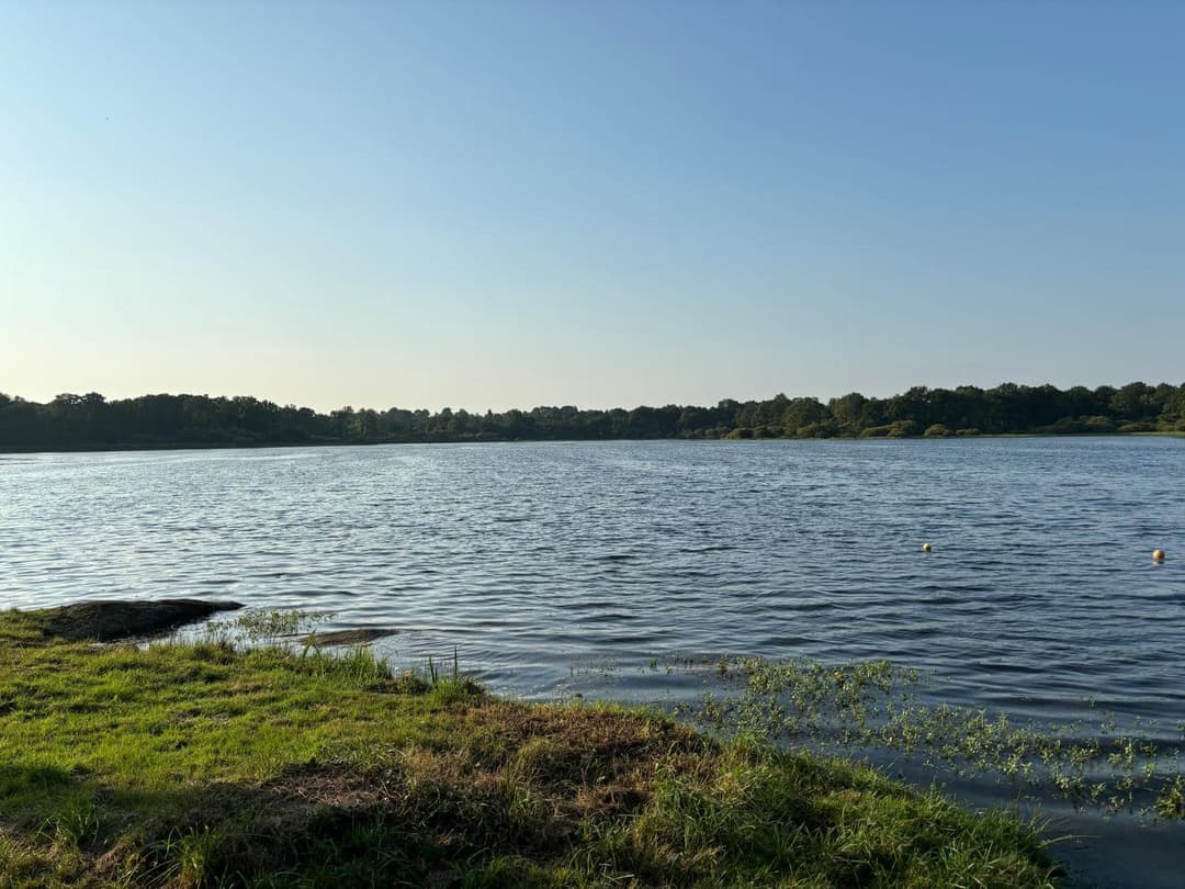 Pêche aux carnassiers dans un étang de 26ha au bord d’un chateau 