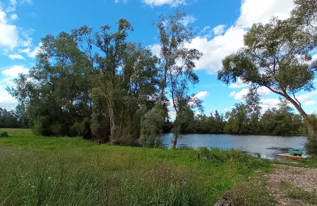 Camping et pêche : une évasion nature au bord de l'étang 