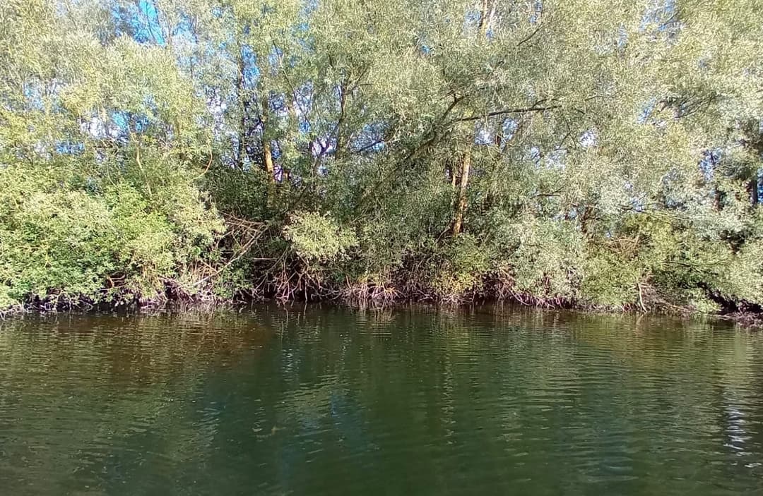 Camping et pêche : une évasion nature au bord de l'étang 