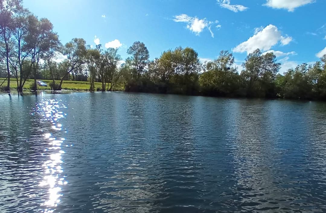 Camping et pêche : une évasion nature au bord de l'étang 