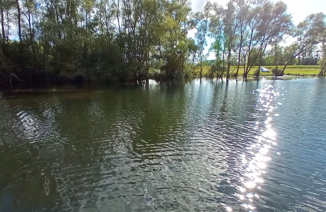 Camping et pêche : une évasion nature au bord de l'étang 