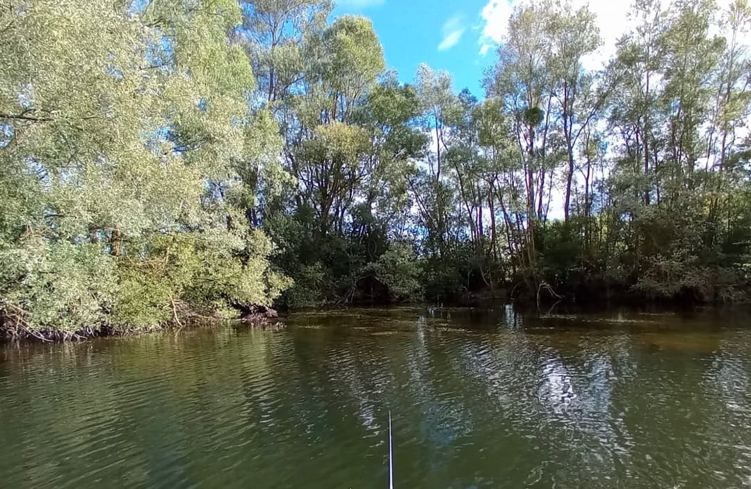 Camping et pêche : une évasion nature au bord de l'étang 