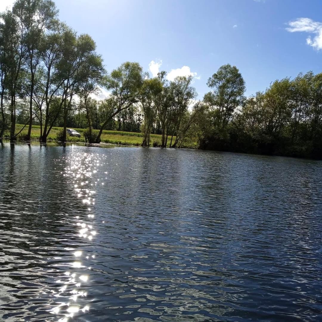 Camping et pêche : une évasion nature au bord de l'étang 