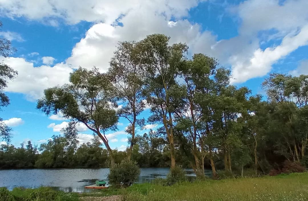 Camping et pêche : une évasion nature au bord de l'étang 