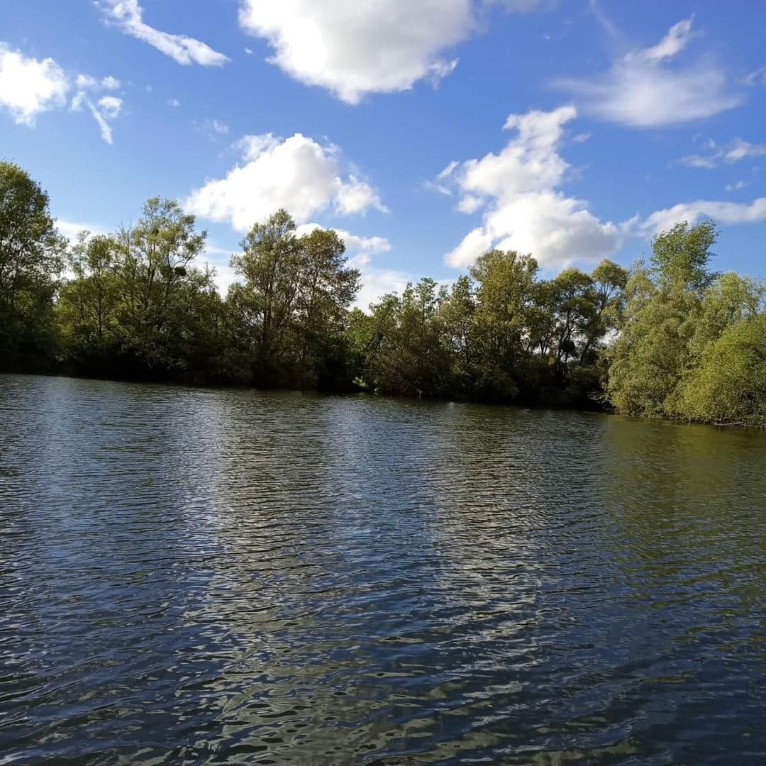 Camping et pêche : une évasion nature au bord de l'étang 