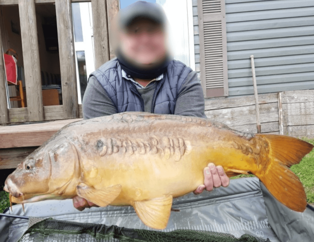 Location mobil home avec étang privé et piscine à côté de Paris ou Troyes