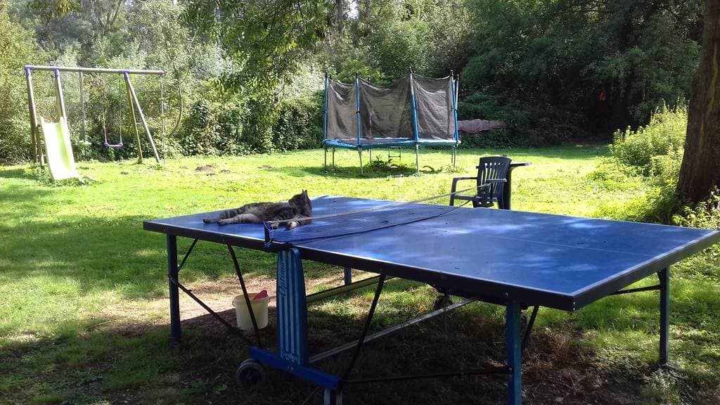 Location mobil home avec étang privé et piscine à côté de Paris ou Troyes