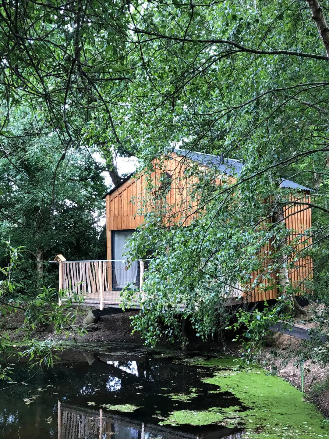 Cabane perchée au bord de l’étang 