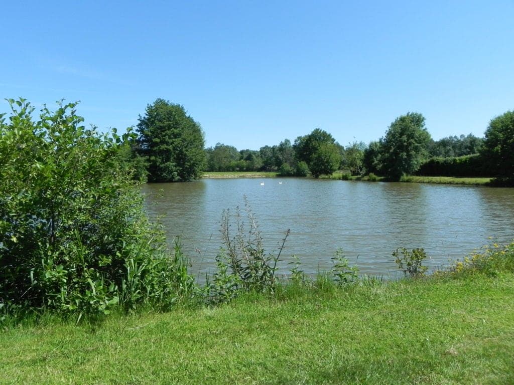 Maison au bord de l’étang pour une évasion en pleine nature 