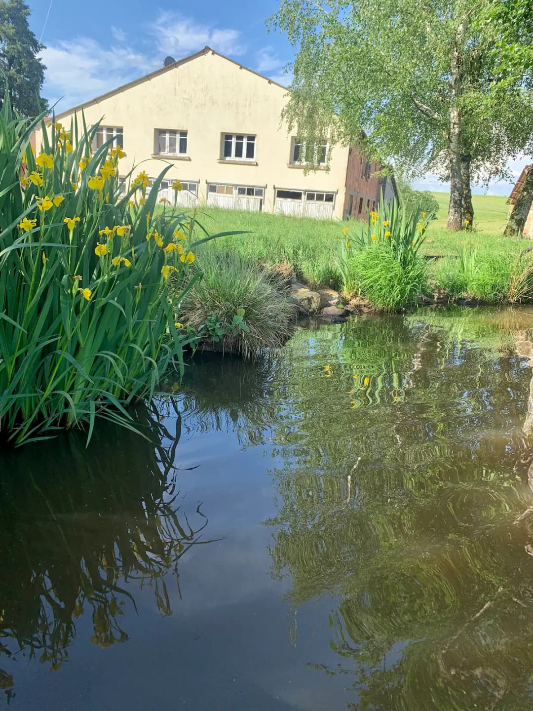 Gîte au cœur du Limousin : détente, pêche et nature à votre porte 