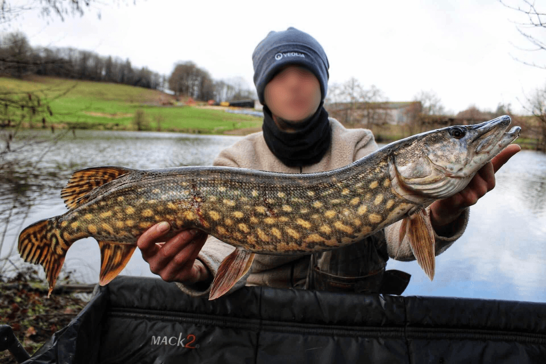 Gîte au cœur du Limousin : détente, pêche et nature à votre porte 