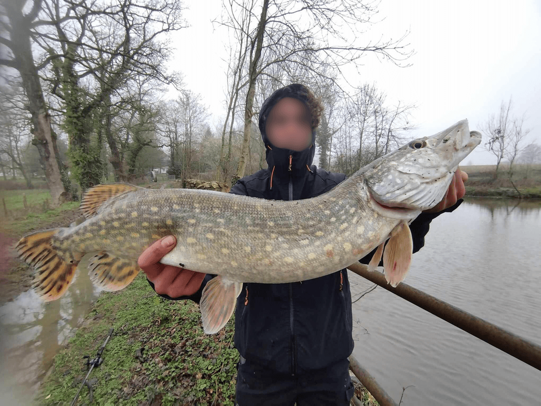 Gîte au cœur du Limousin : détente, pêche et nature à votre porte 