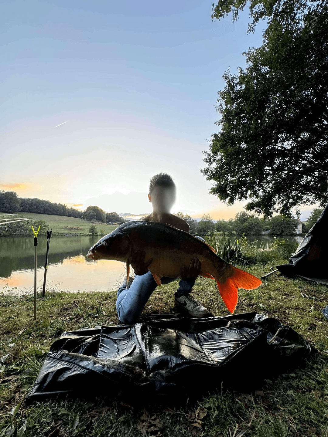 Gîte au cœur du Limousin : détente, pêche et nature à votre porte 