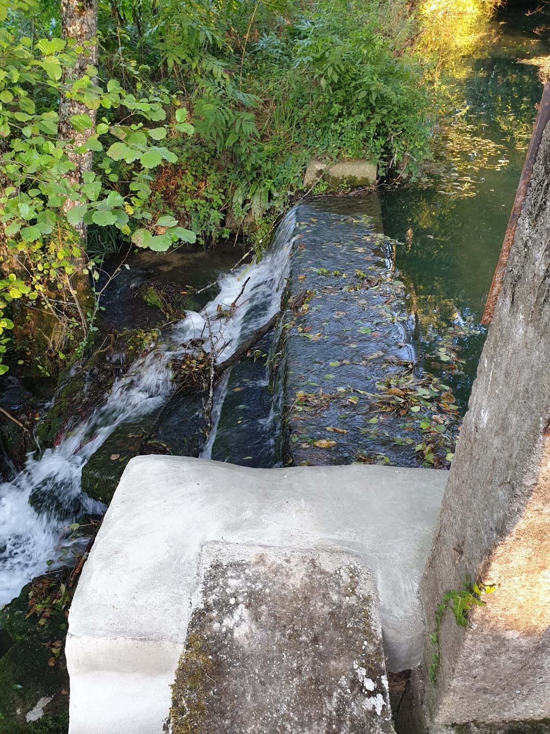Halte paisible en camping-car au bord d'un étang avec rivière au coeur de la Dordogne 