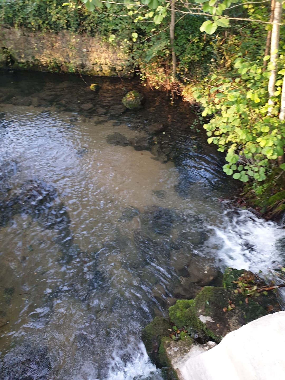 Halte paisible en camping-car au bord d'un étang avec rivière au coeur de la Dordogne 