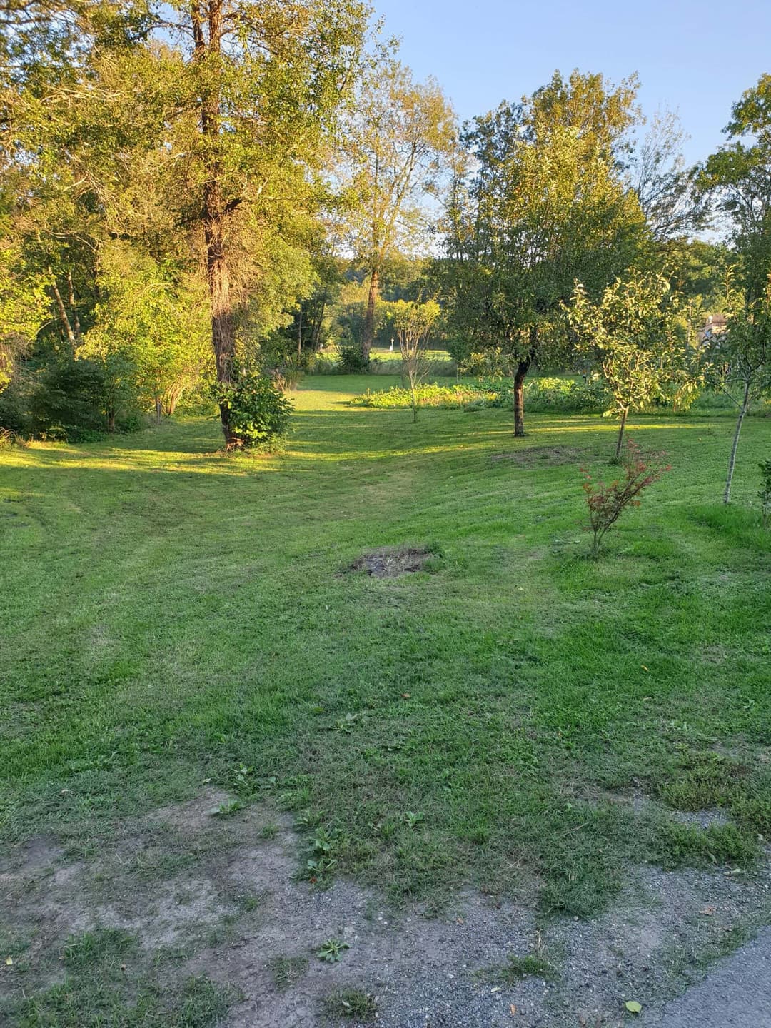 Halte paisible en camping-car au bord d'un étang avec rivière au coeur de la Dordogne 