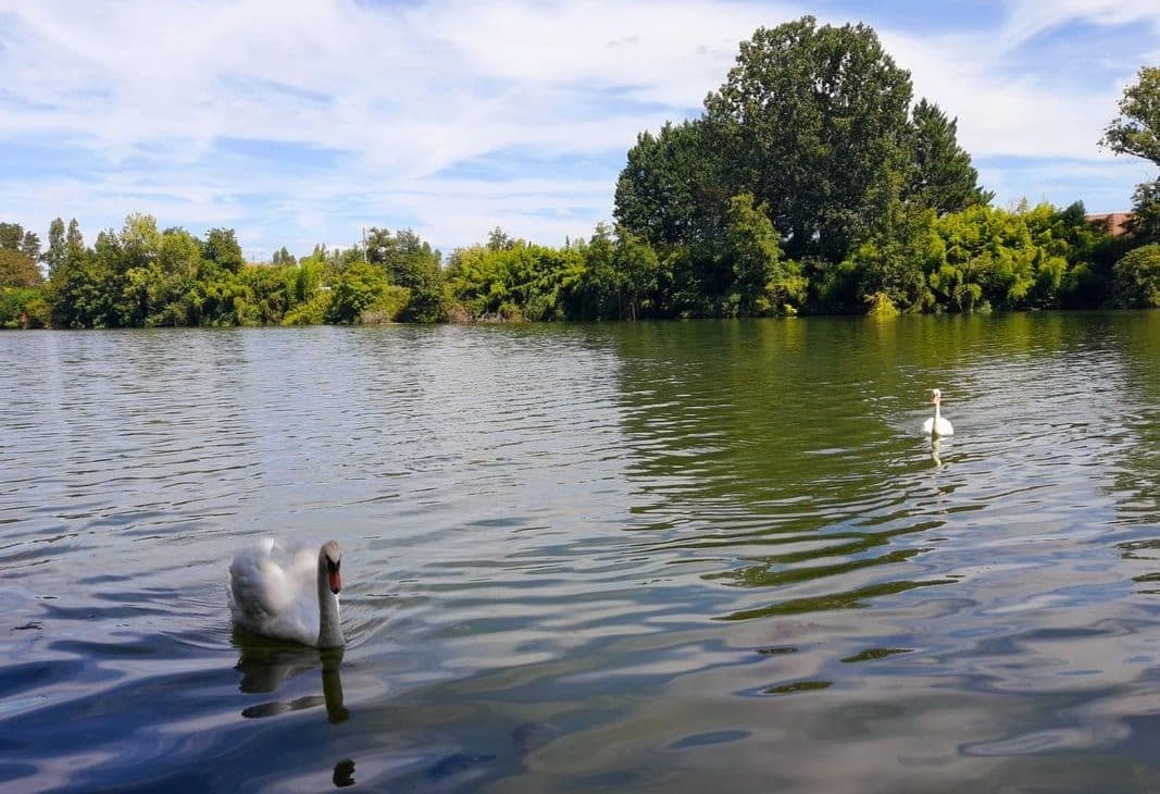 Chalet d’exception au bord du fleuve Lot 