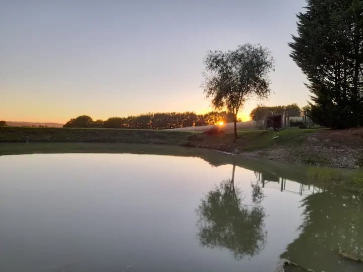 Gîte avec petit étang, un havre de paix en pleine nature 