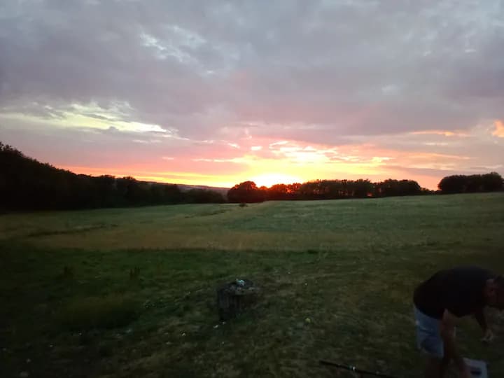 Gîte avec petit étang, un havre de paix en pleine nature 