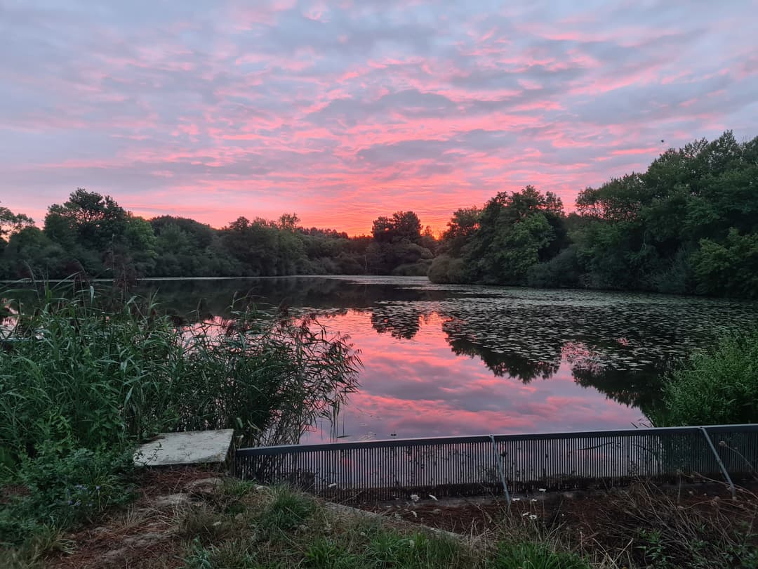 Etang avec bateau cabané au cœur d'un élevage piscicole