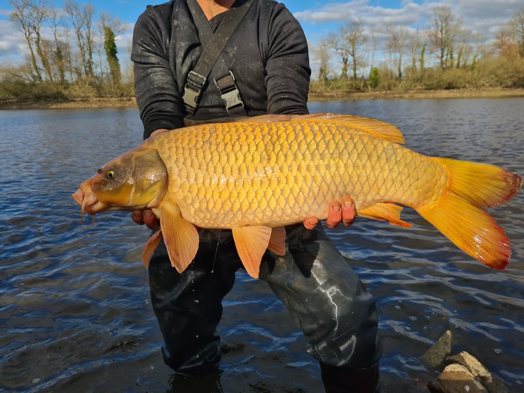 Etang avec bateau cabané au cœur d'un élevage piscicole