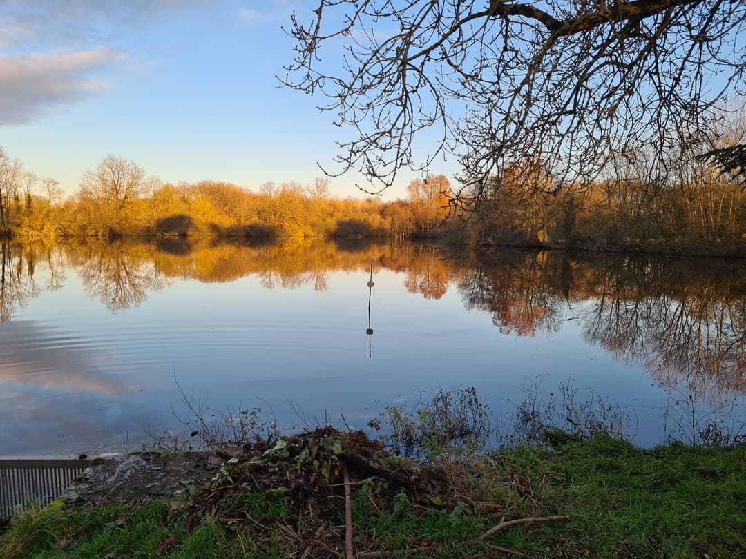 Etang avec bateau cabané au cœur d'un élevage piscicole