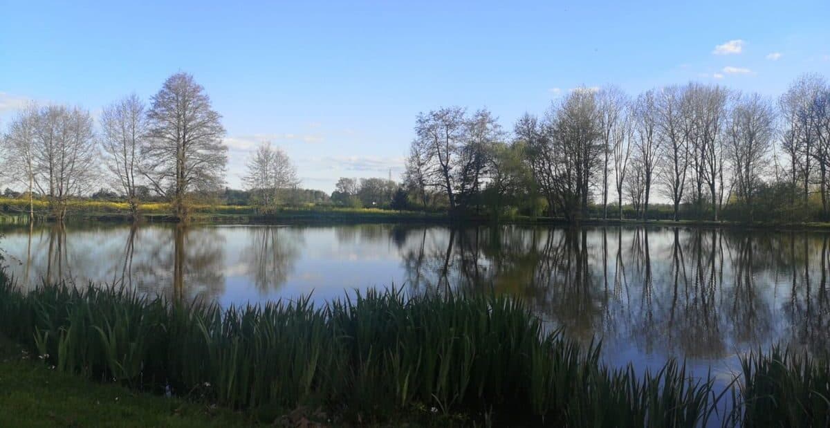 Gîte au bord d’un étang poissonneux 