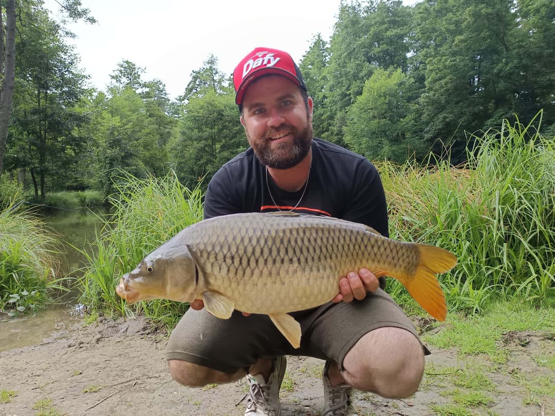 Évasion Nature près de Paris : Découvrez notre Étang de Pêche aux Carpes et Poissons Blancs 
