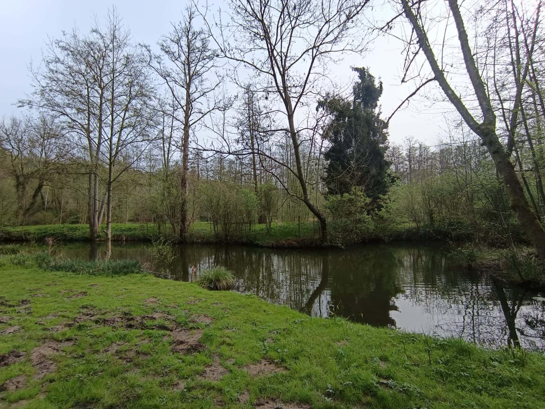 Évasion Nature près de Paris : Découvrez notre Étang de Pêche aux Carpes et Poissons Blancs 