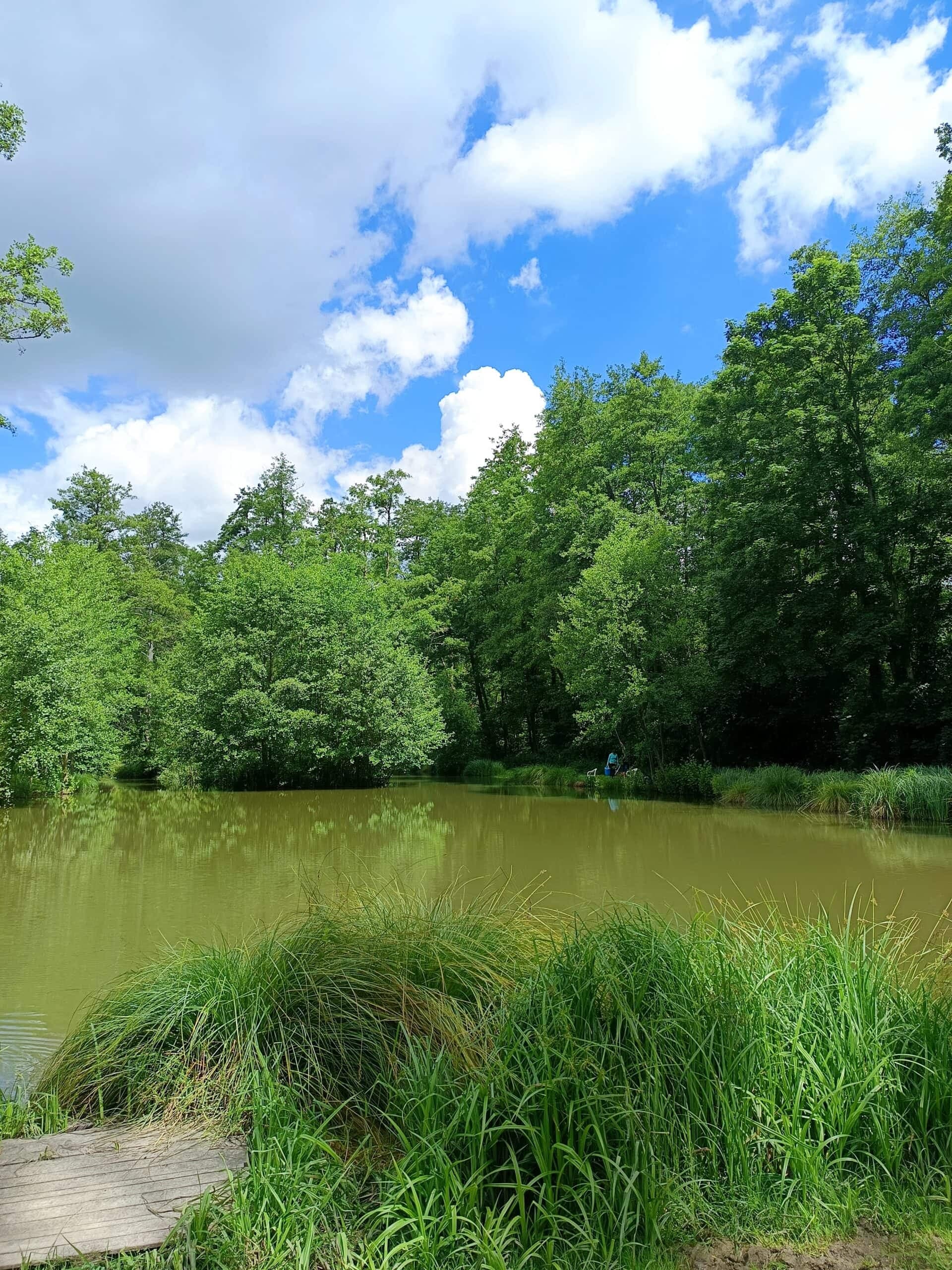 Évasion Nature près de Paris : Découvrez notre Étang de Pêche aux Carpes et Poissons Blancs 