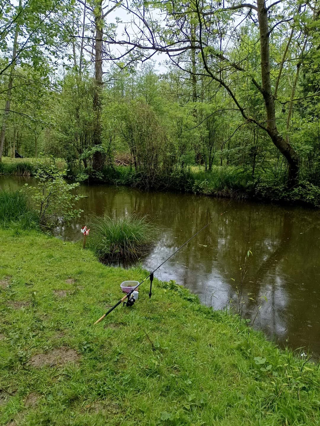 Évasion Nature près de Paris : Découvrez notre Étang de Pêche aux Carpes et Poissons Blancs 