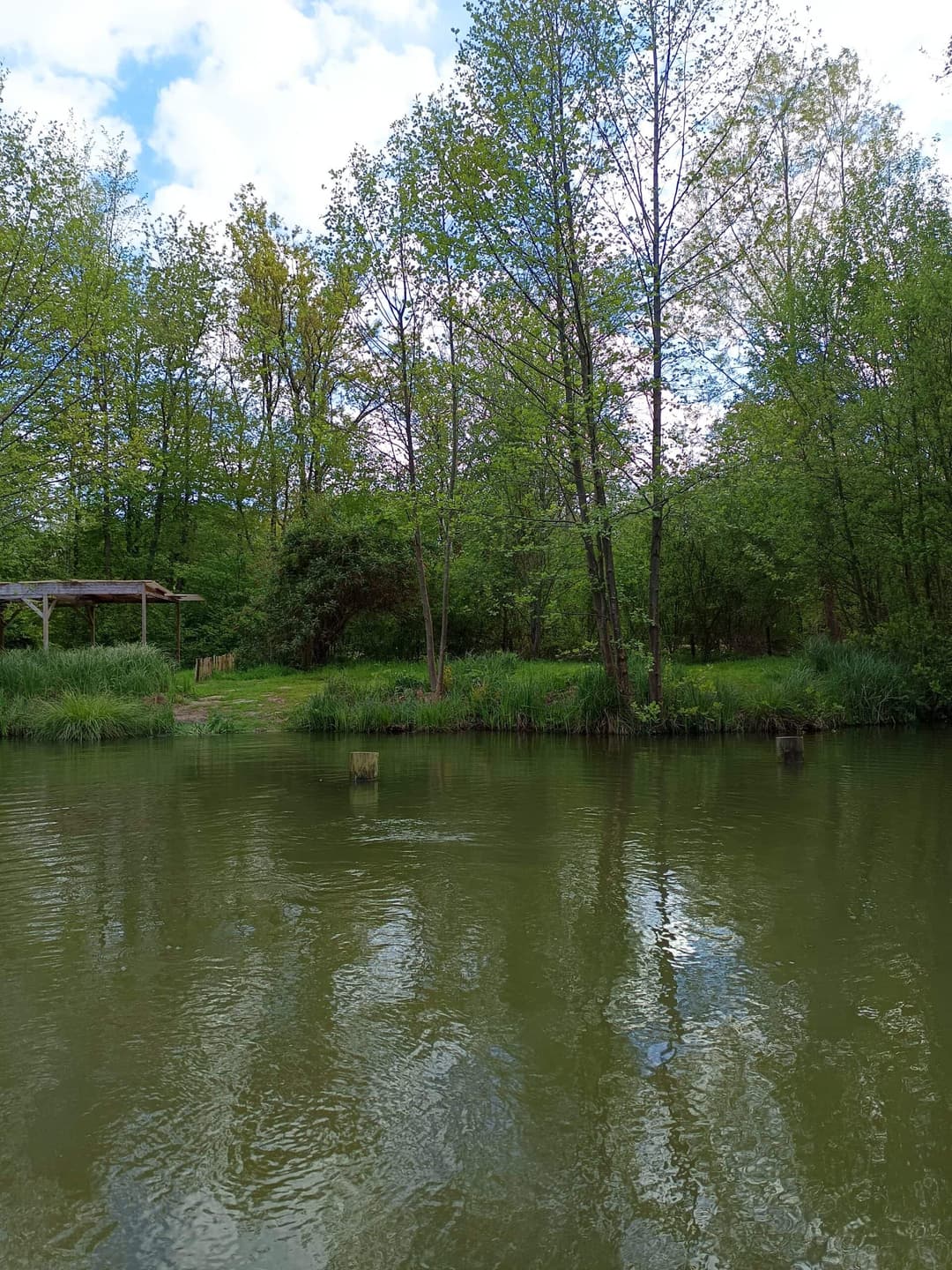 Évasion Nature près de Paris : Découvrez notre Étang de Pêche aux Carpes et Poissons Blancs 