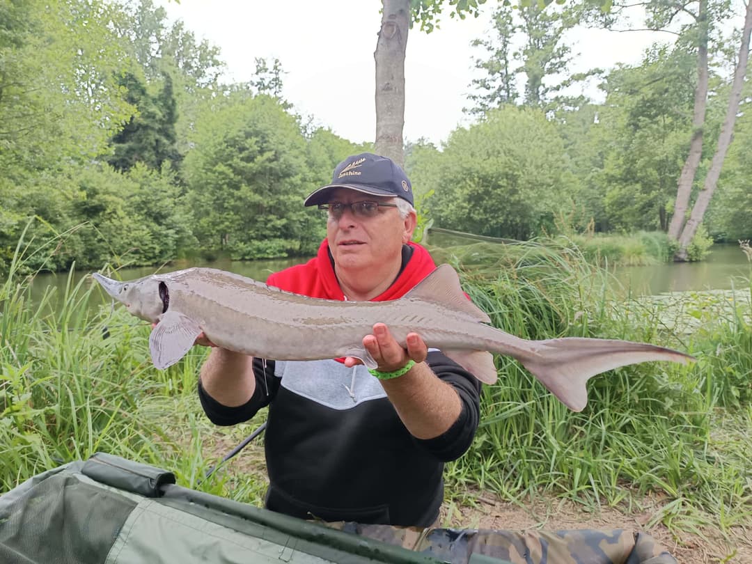 Évasion Nature près de Paris : Découvrez notre Étang de Pêche aux Carpes et Poissons Blancs 