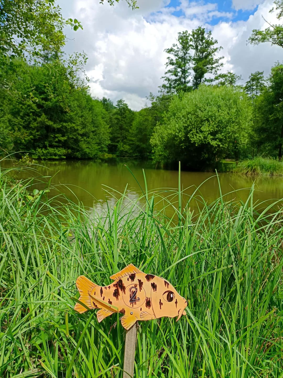 Évasion Nature près de Paris : Découvrez notre Étang de Pêche aux Carpes et Poissons Blancs 