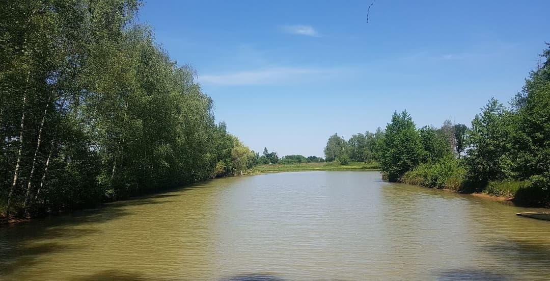 Location étang 1ha dans le Jura 