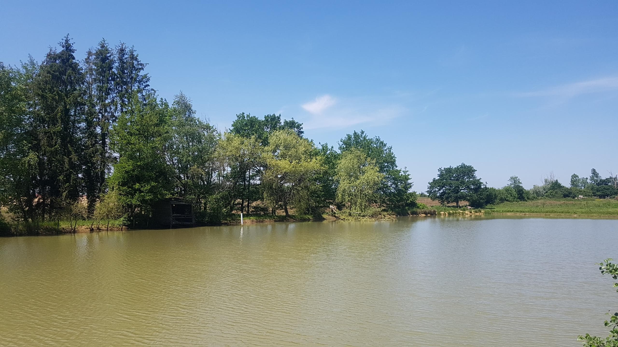 Location étang 1ha dans le Jura 